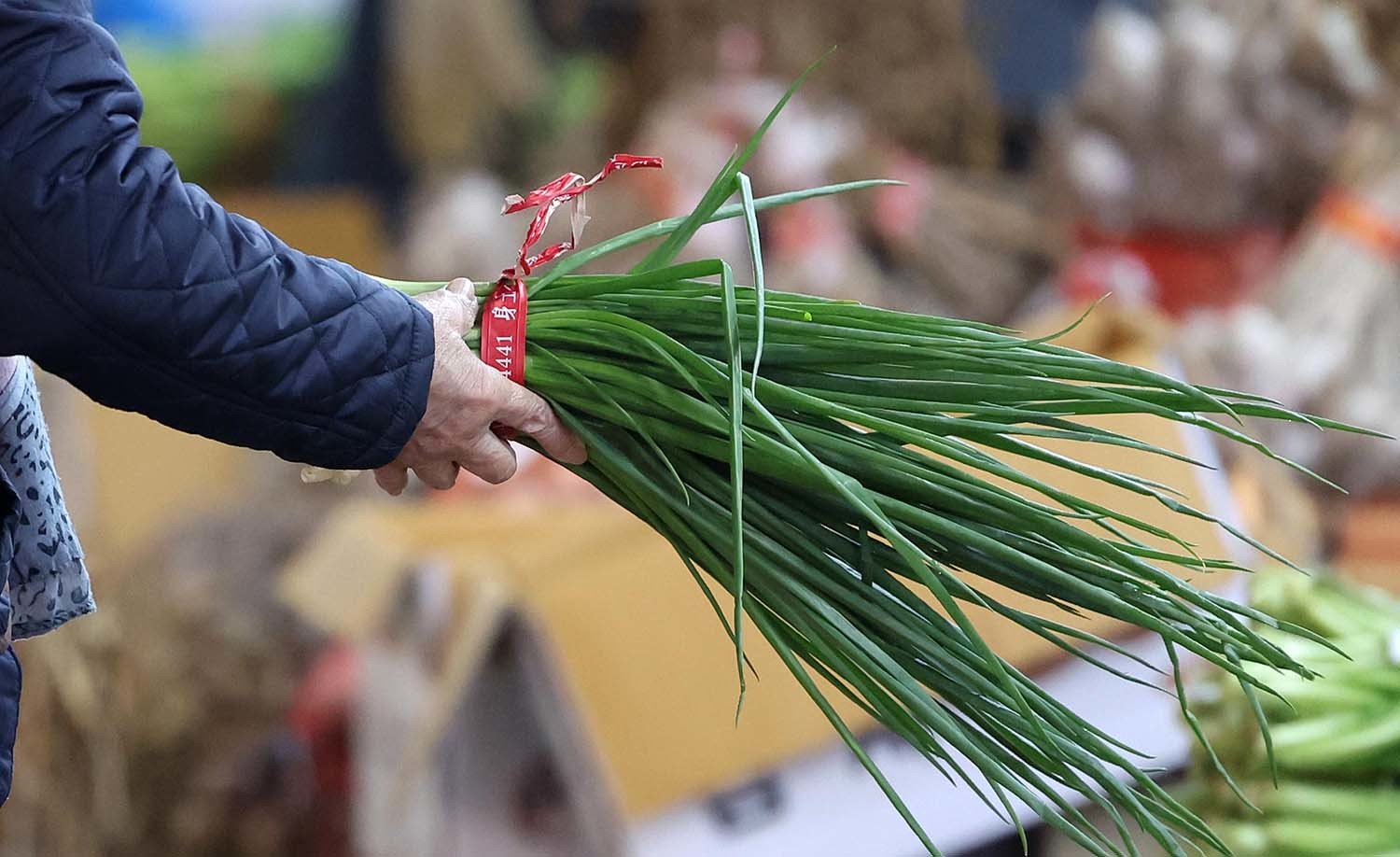 쪽파 / 뉴스1 자료사진