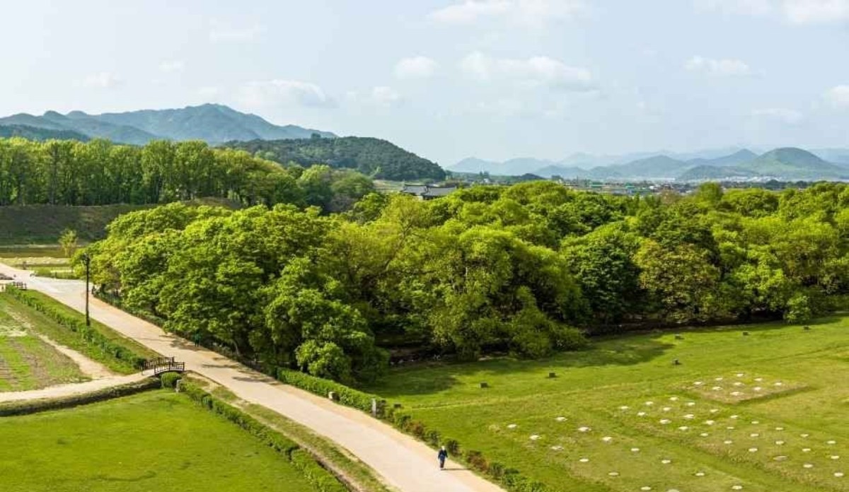 경주 계림 / ⓒ한국관광 콘텐츠랩
