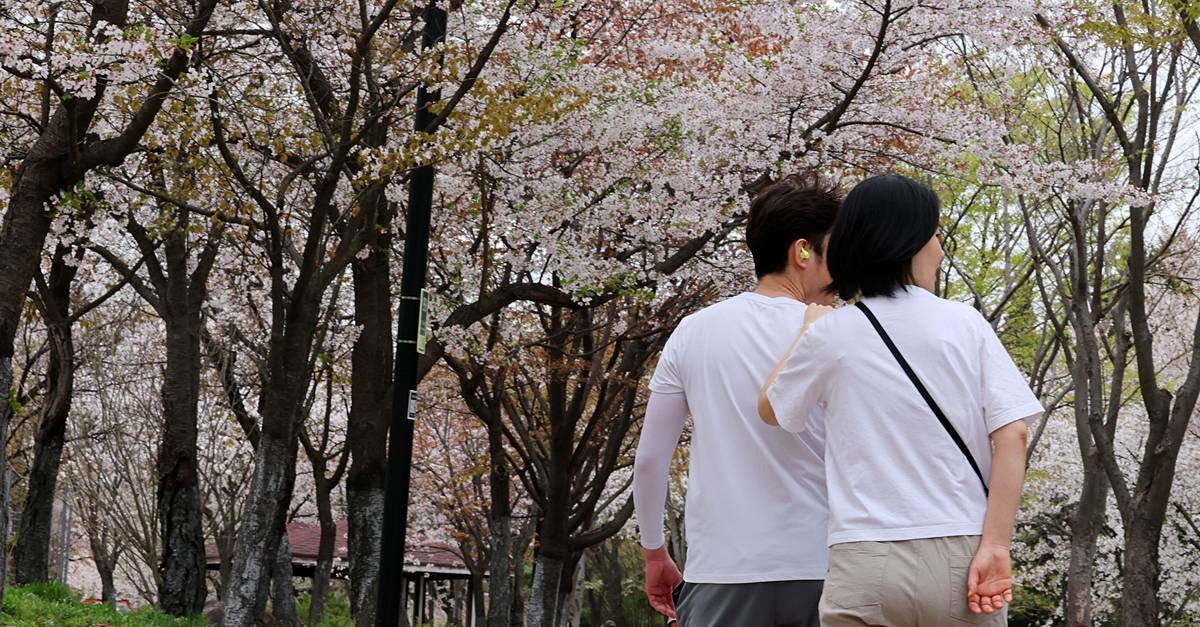 봄과 여름의 공존 / 뉴스1