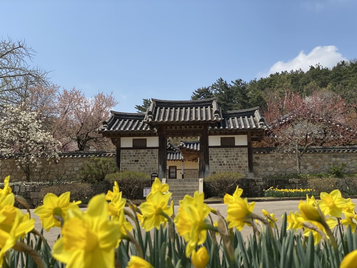 추사고택 전경 / 예산군