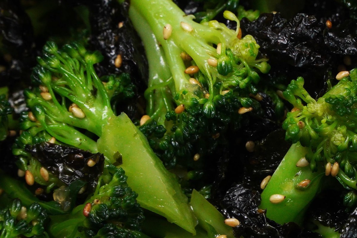 유튜브 '팔숙이 palsook'