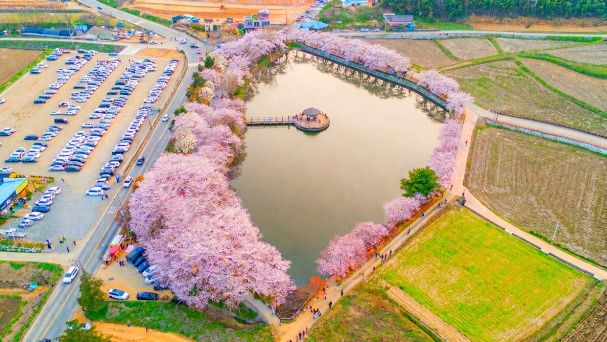 당진 골정지. / 당진시 공식 블로그, AI