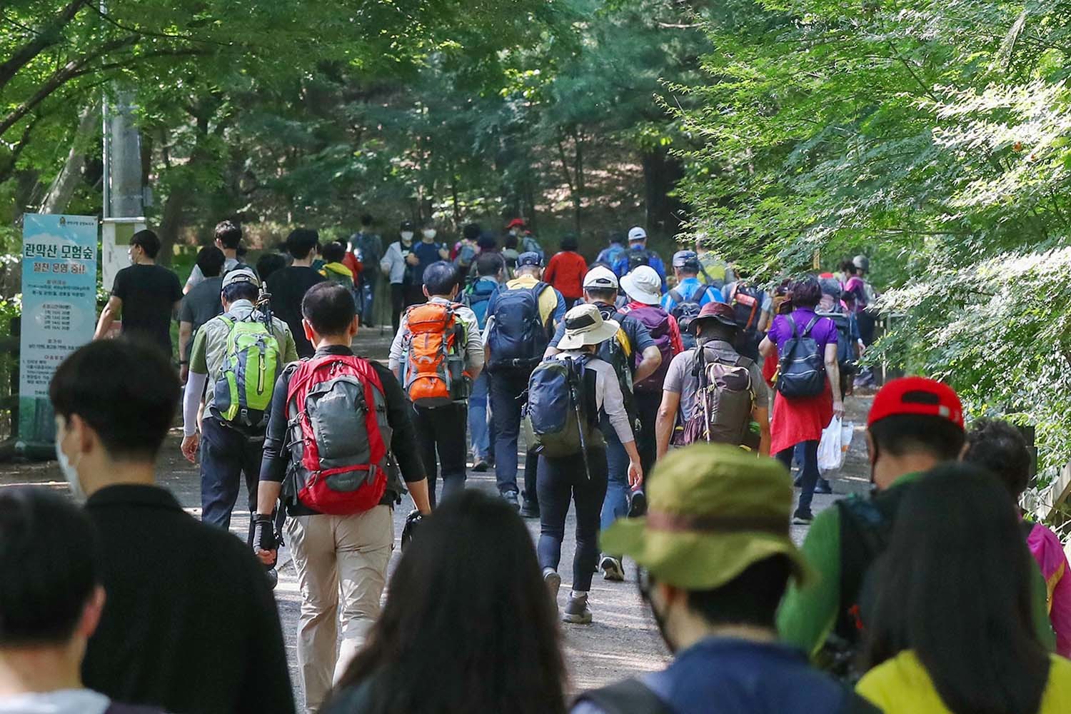 관악산 등산객들 / 뉴스1 자료사진