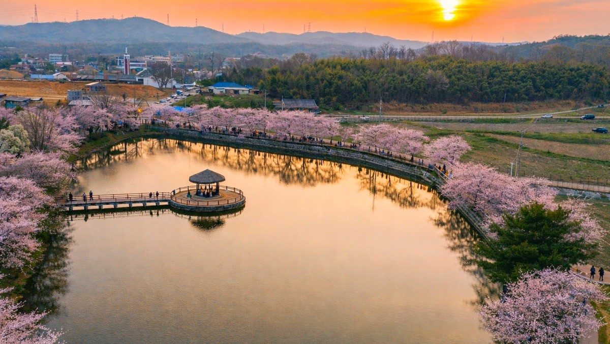 당진 골정지. / 당진시 공식 블로그, AI