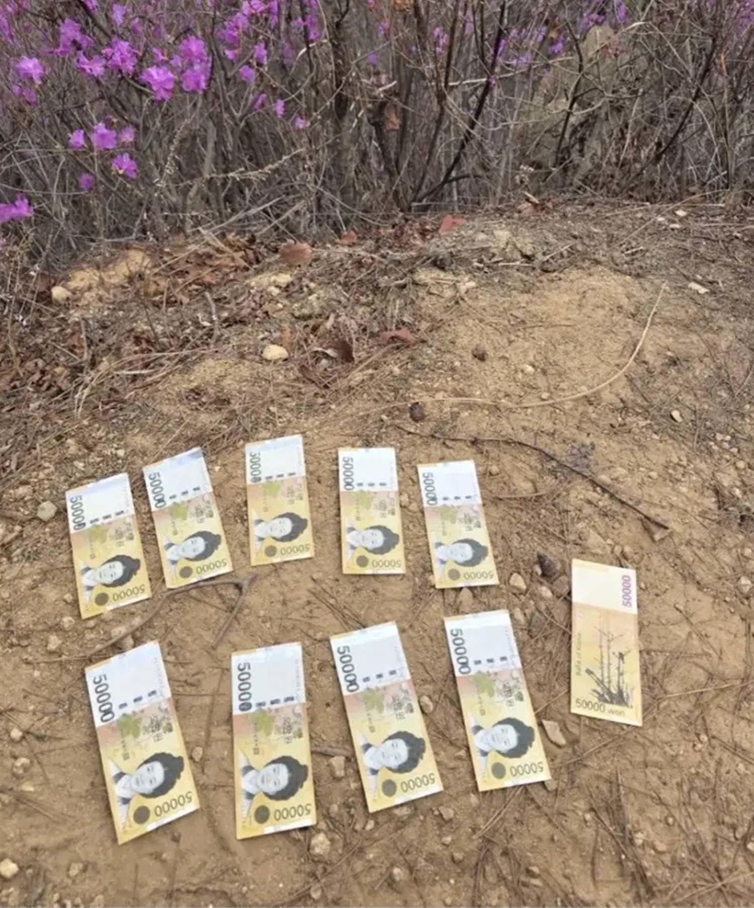 수정산 돌탑의 틈에 꽂혀 있었던 50만. / 디시인사이드