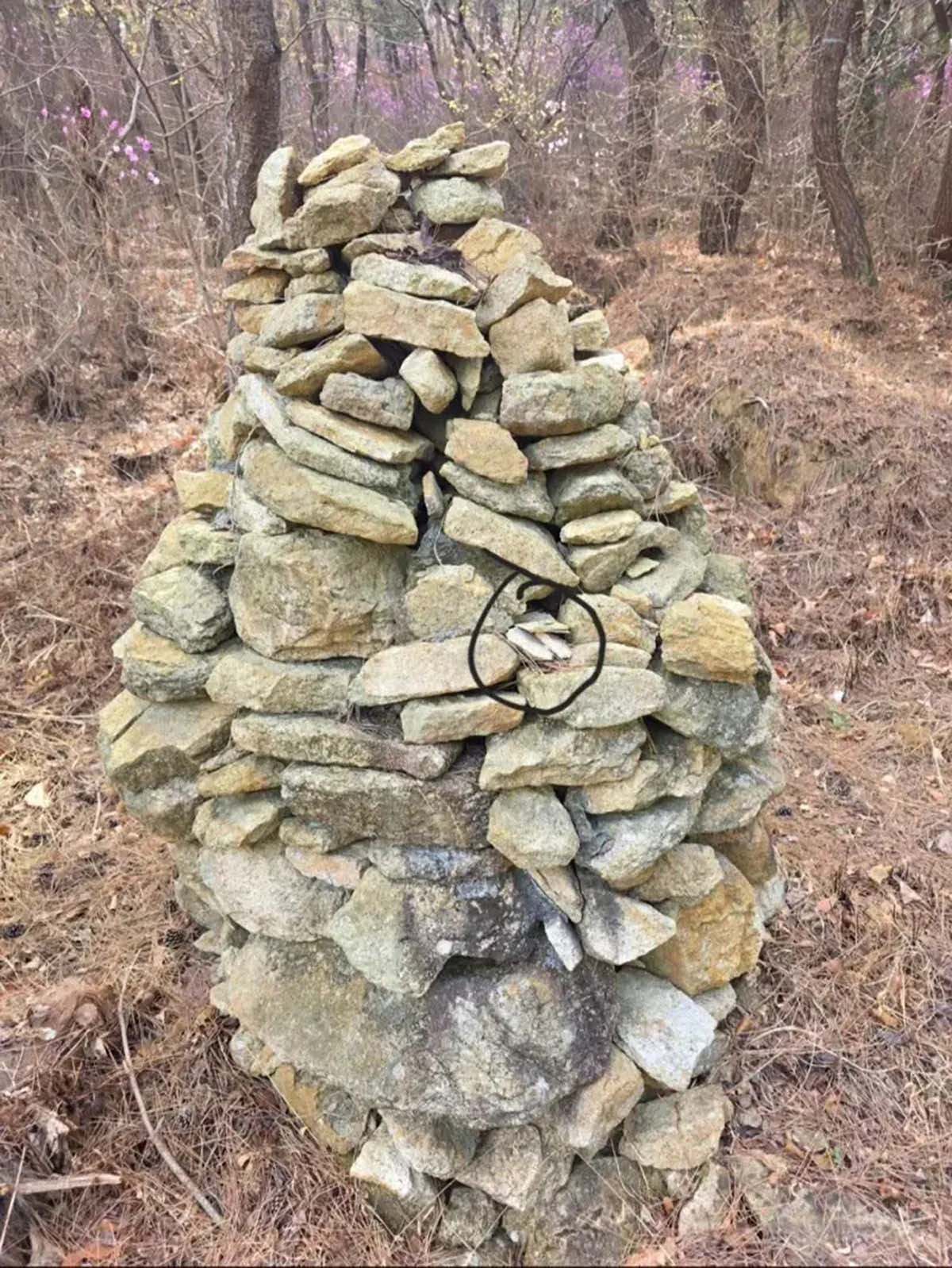 수정산 돌탑의 틈에 꽂혀 있었던 50만. / 디시인사이드