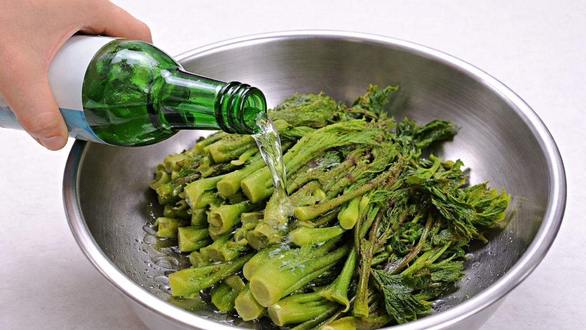 봄철 두릅에 '소주' 딱 1컵만 부어보세요…이 좋은 걸 왜 아무도 안 가르쳐줬죠