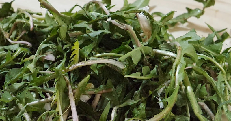 유튜브 '엄마의가정식'