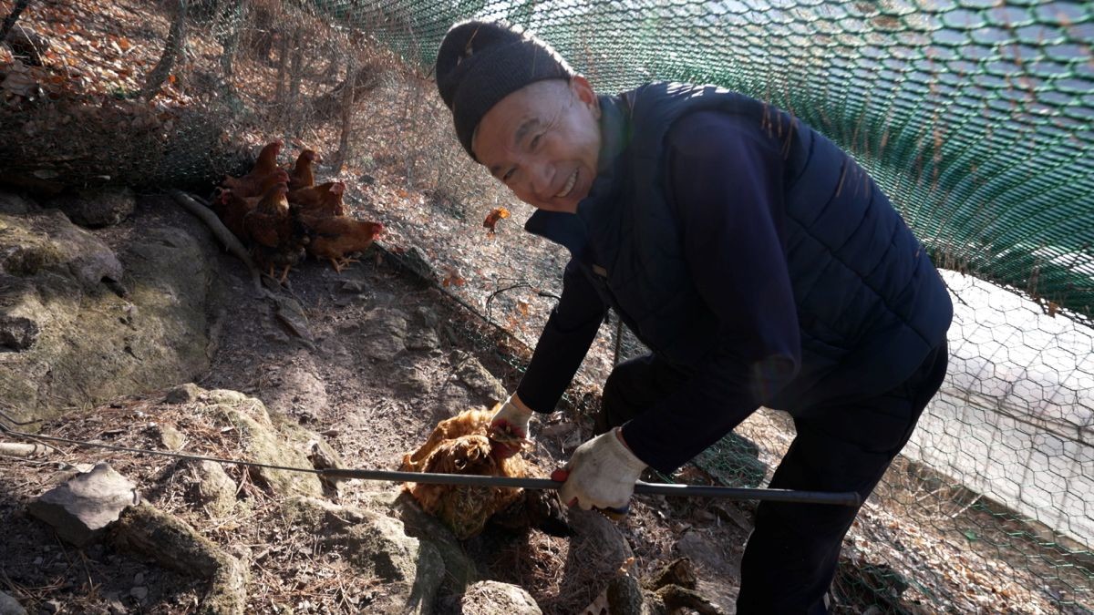 EBS1 '한국기행' 미리보기 페이지에서 제공하는 '닭 잡던 날, 내장 한 점 맛보드래요' 편 자료 사진. / EBS1 제공
