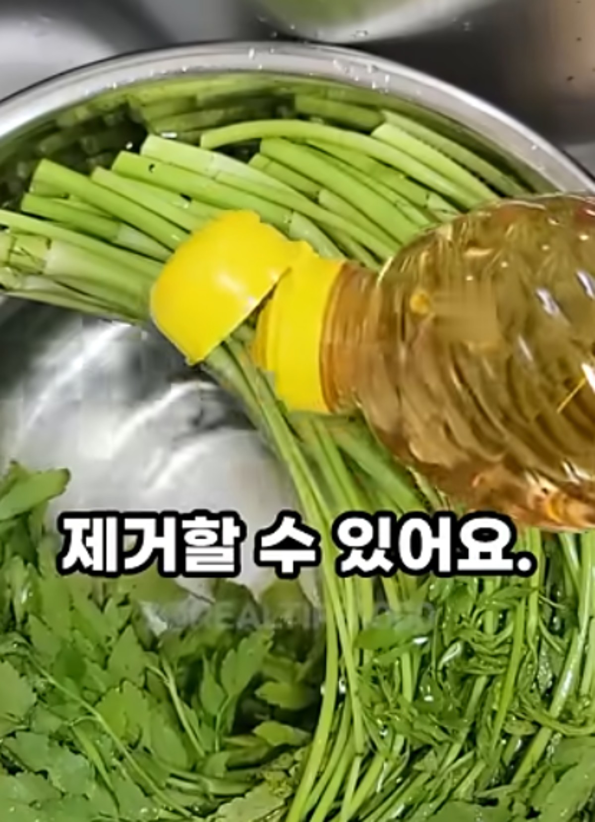 미나리를 씻는 모습 / 유튜브 '진짜꿀팁'