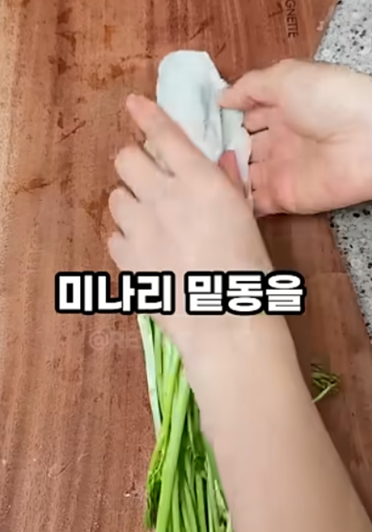 미나리 밑동을 키친타월로 감싸는 모습 / 유튜브 '진짜꿀팁'