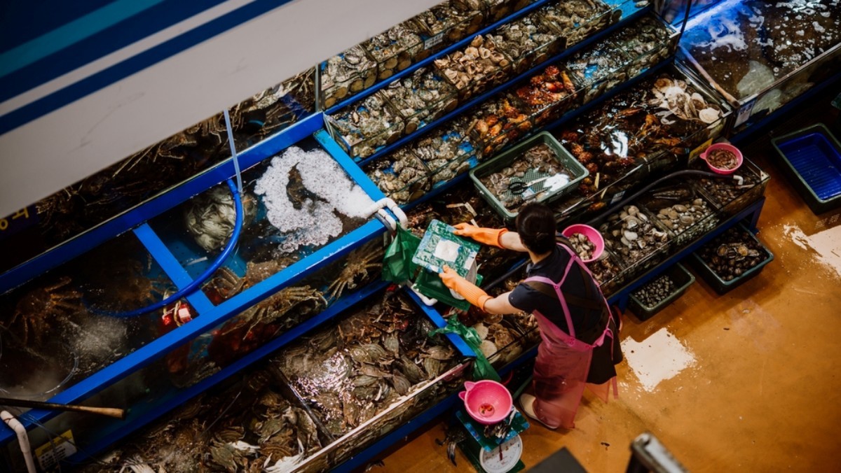 수산시장 자료사진 / fornStudio-shutterstock.com