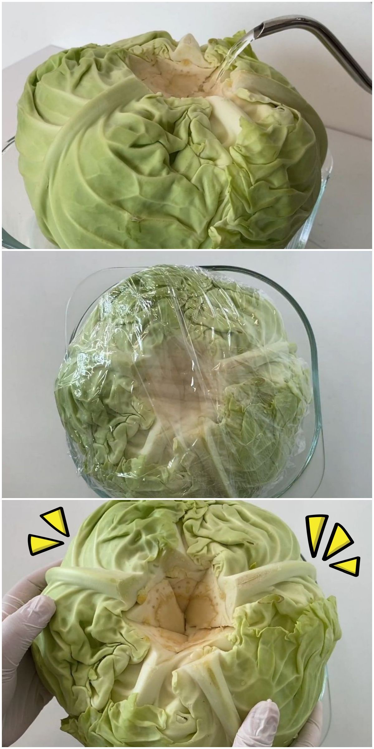 양배추 잎 찢기지 않게 하는 간단한 꿀팁. 유튜브 채널 '코코네' 자료에 효과 추가한 이미지.