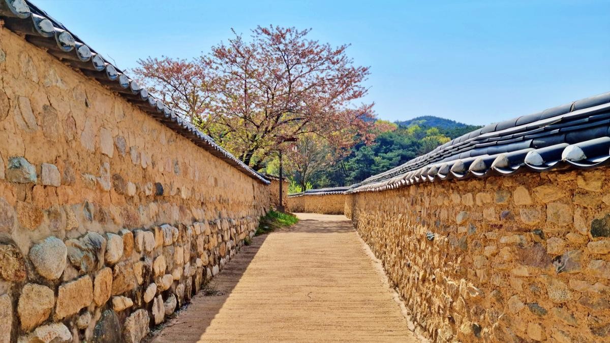 한개마을 흙담 길 / 경상북도 성주군-공공누리