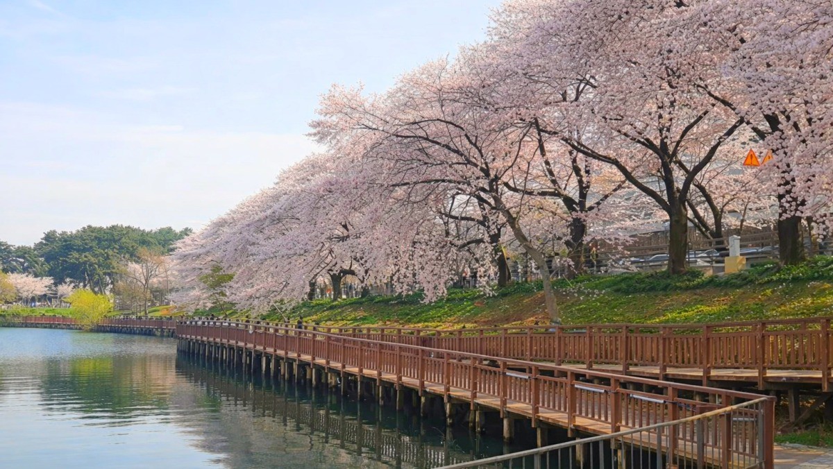 군산 은파호수공원. / 군산시 공식 블로그, AI