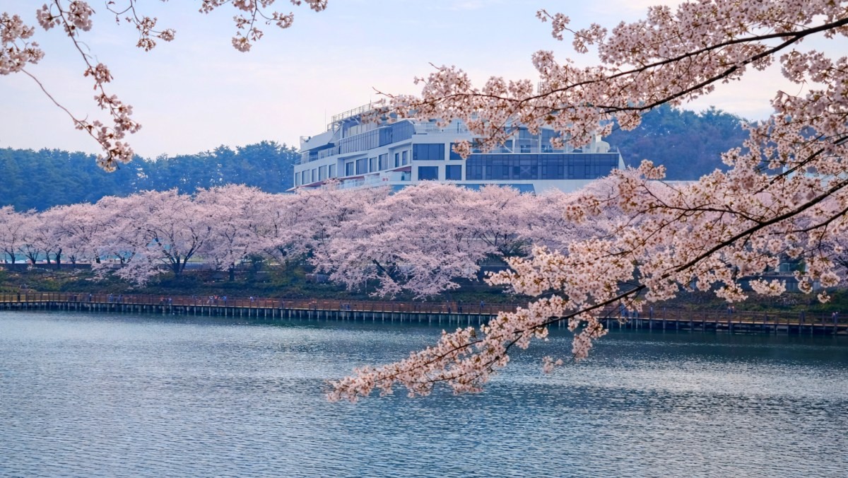 군산 은파호수공원. / 군산시 공식 블로그, AI