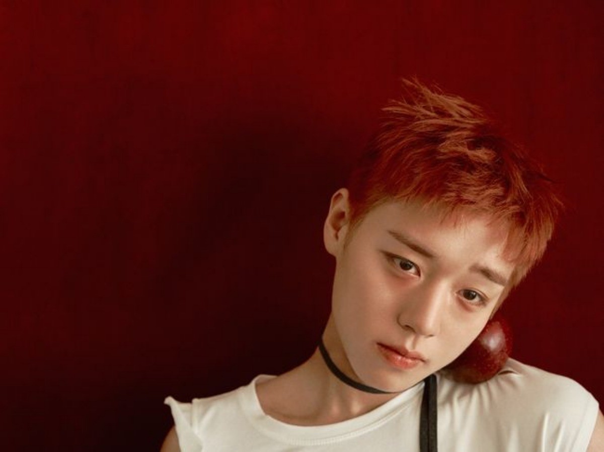 박지훈 콘셉트 포토 / YY엔터테인먼트