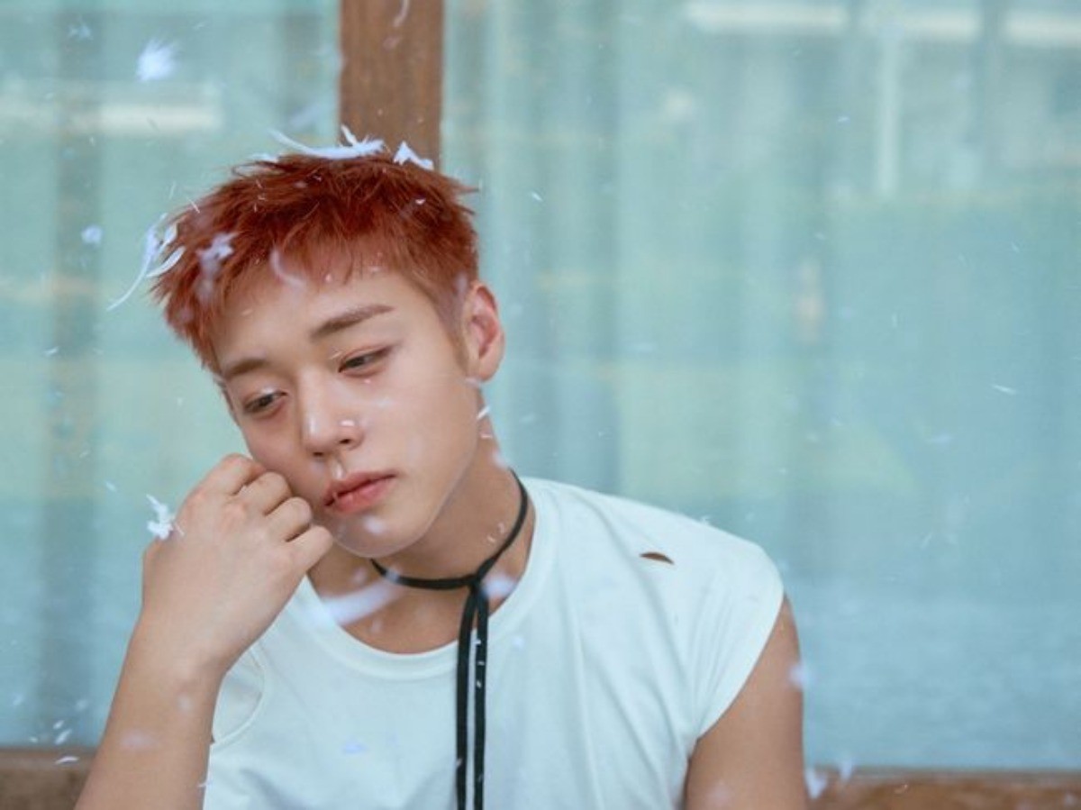 박지훈 콘셉트 포토 / YY엔터테인먼트