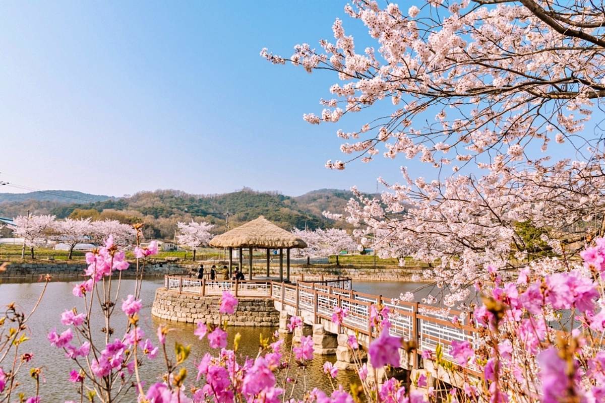 골정지 / 충남관광 홈페이지