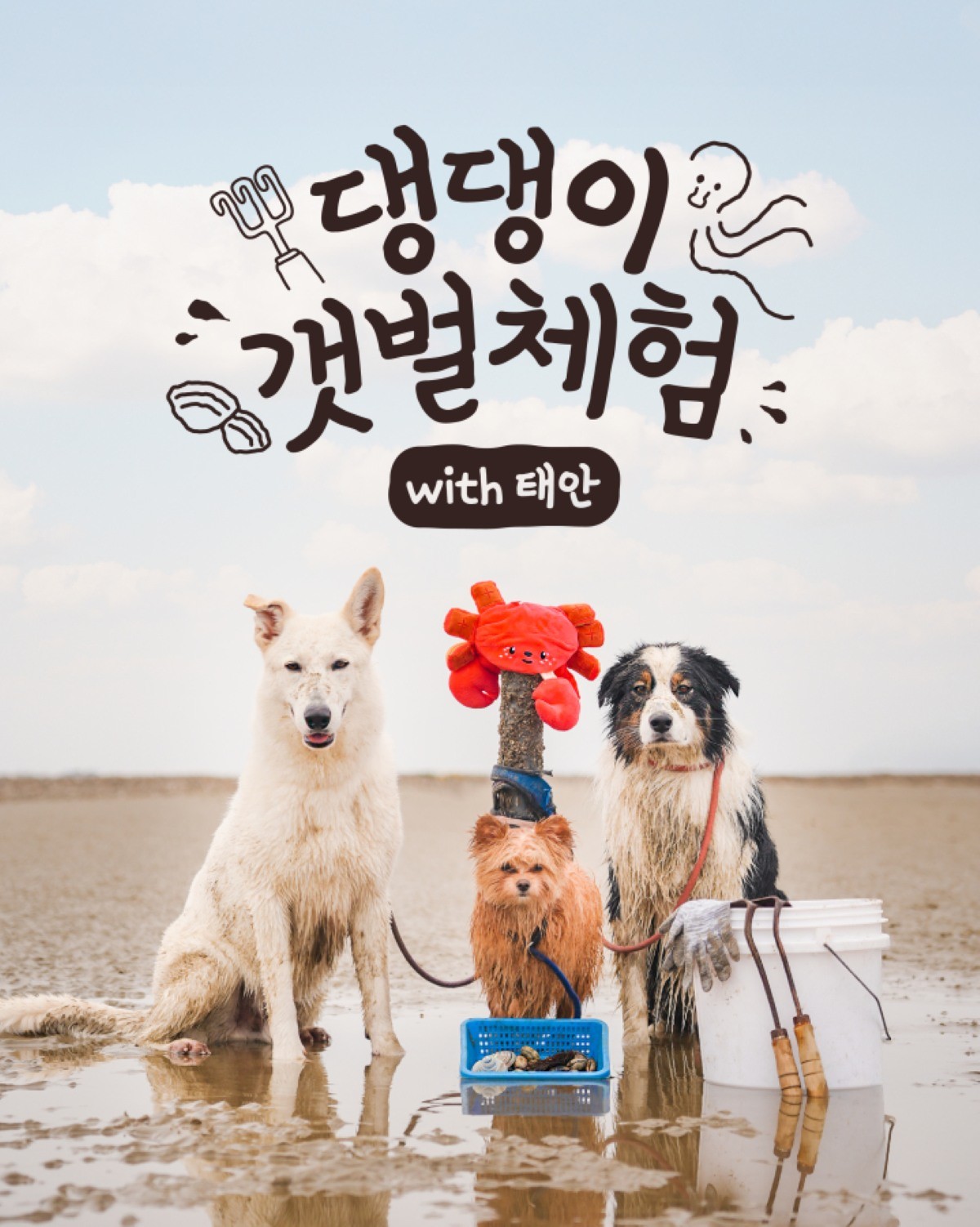 댕댕이 갯벌체험 포스터 / 태안군