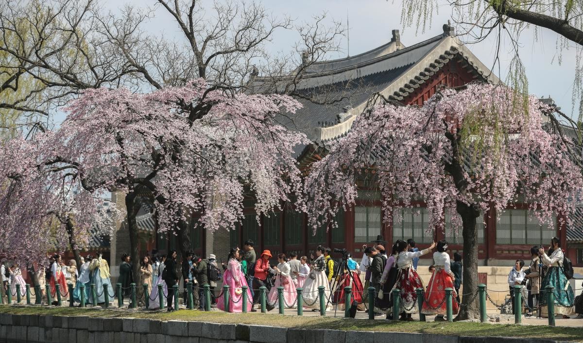 봄을 맞은 경복궁 / 뉴스1