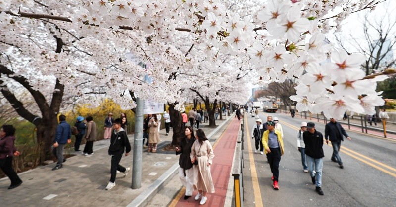 기사의 이해를 돕기 위한 사진 / 뉴스1