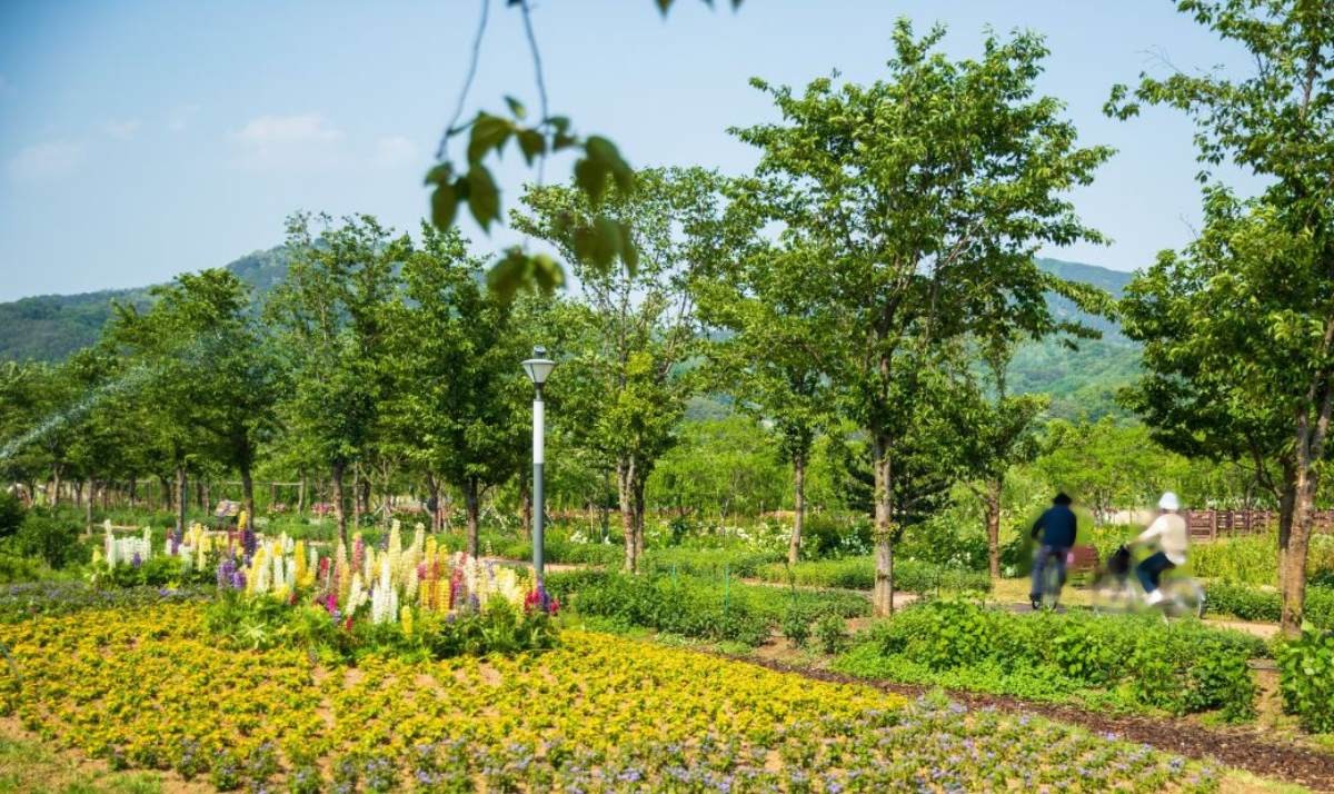 거창 창포원 / 한국관광공사(촬영 : 김지호)