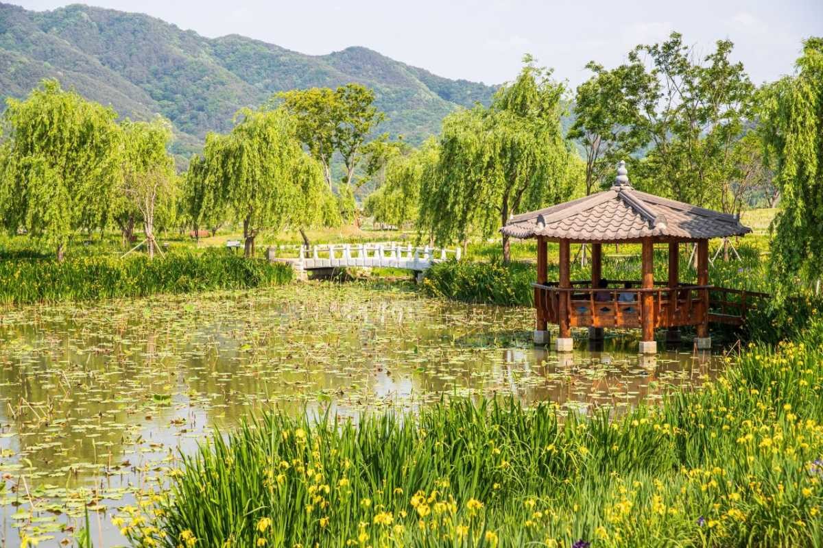 거창 창포원 / 한국관광공사(촬영 : 김지호)