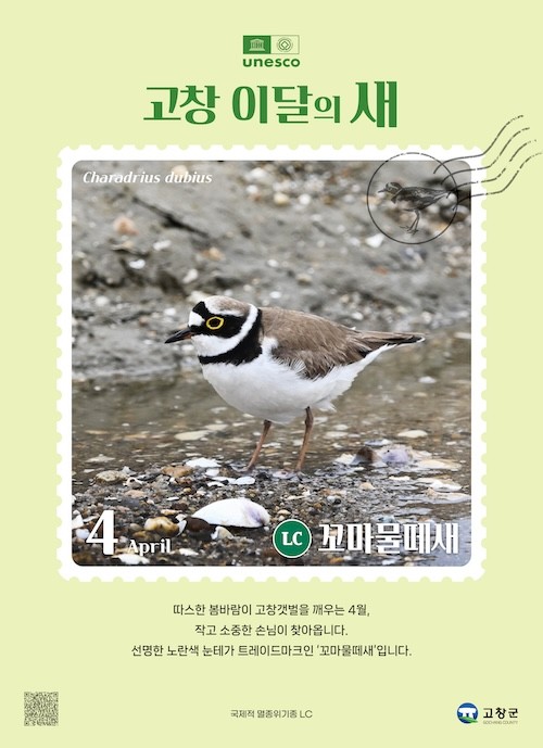 4월 고창 이달의 새 / 고창군