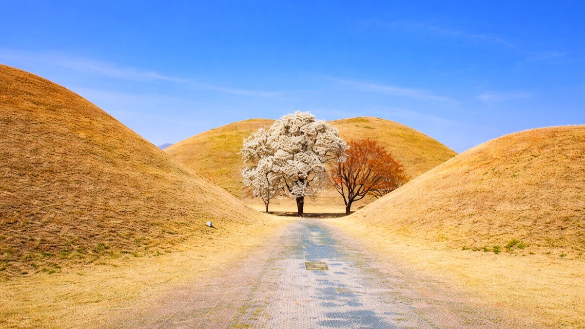 경주 대릉원. 기사 내용 토대로 AI툴 활용해 제작한 자료사진.