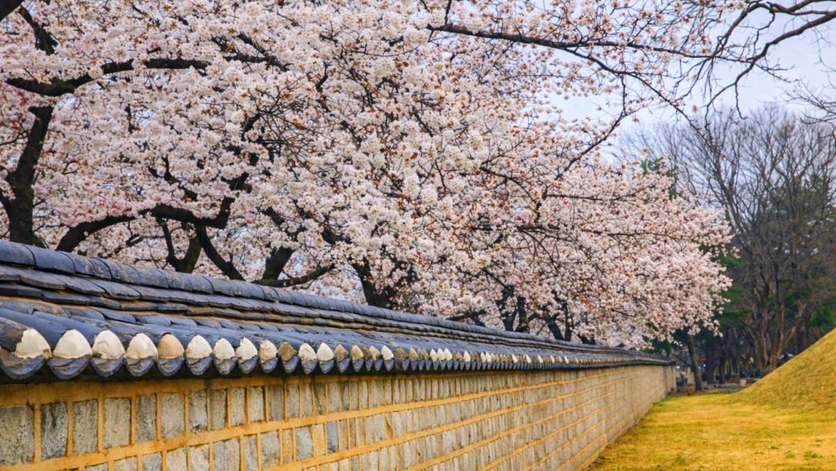 경주. 기사 내용 토대로 AI툴 활용해 제작한 자료사진.