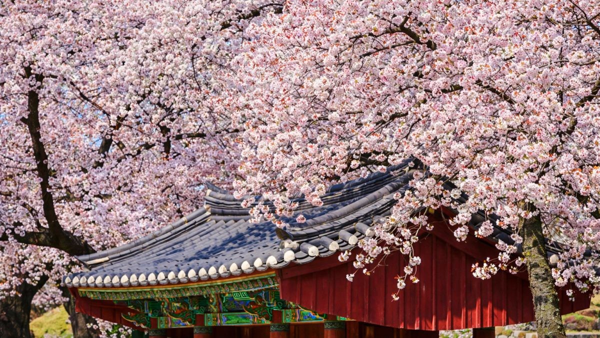 경주. 기사 내용 토대로 AI툴 활용해 제작한 자료사진.