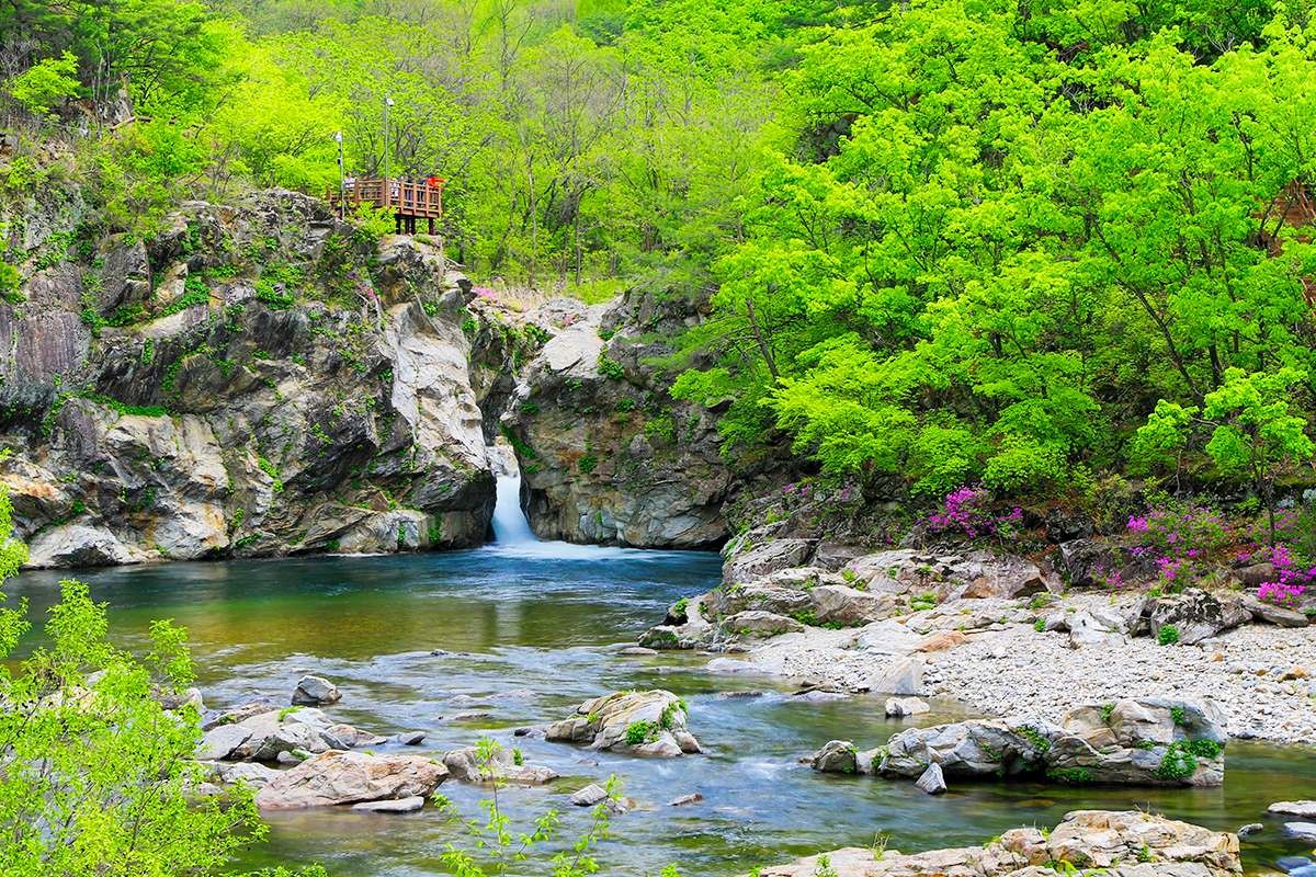 두타연 / 양구 관광 홈페이지 캡처