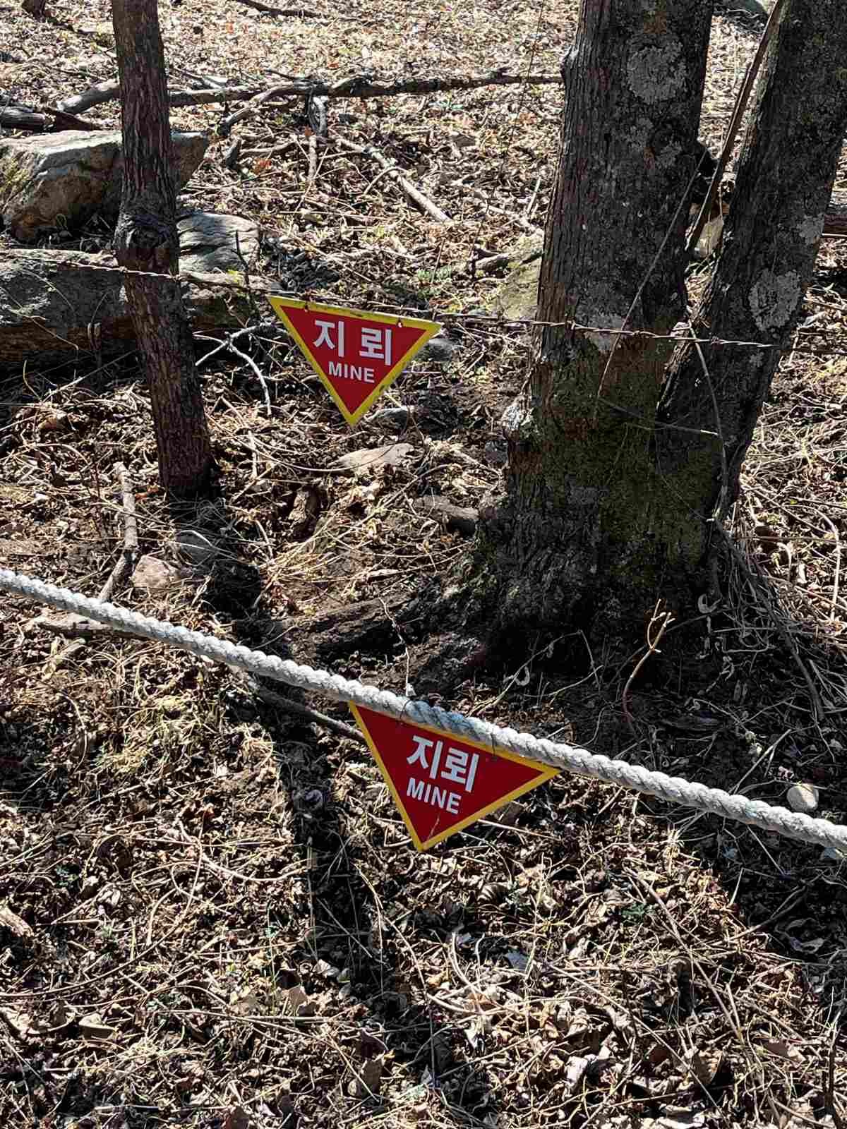 두타연 / 위키트리 정혁진
