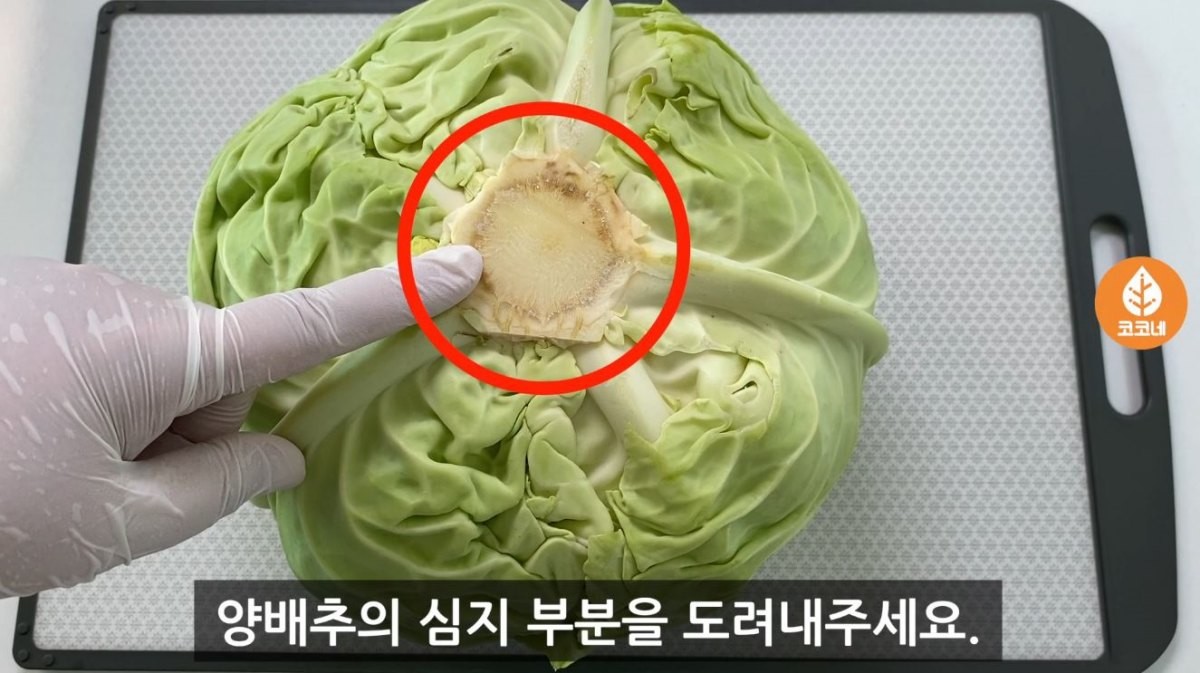 양배추 심지 부분을 도려내려는 모습. / 유튜브 '코코네'