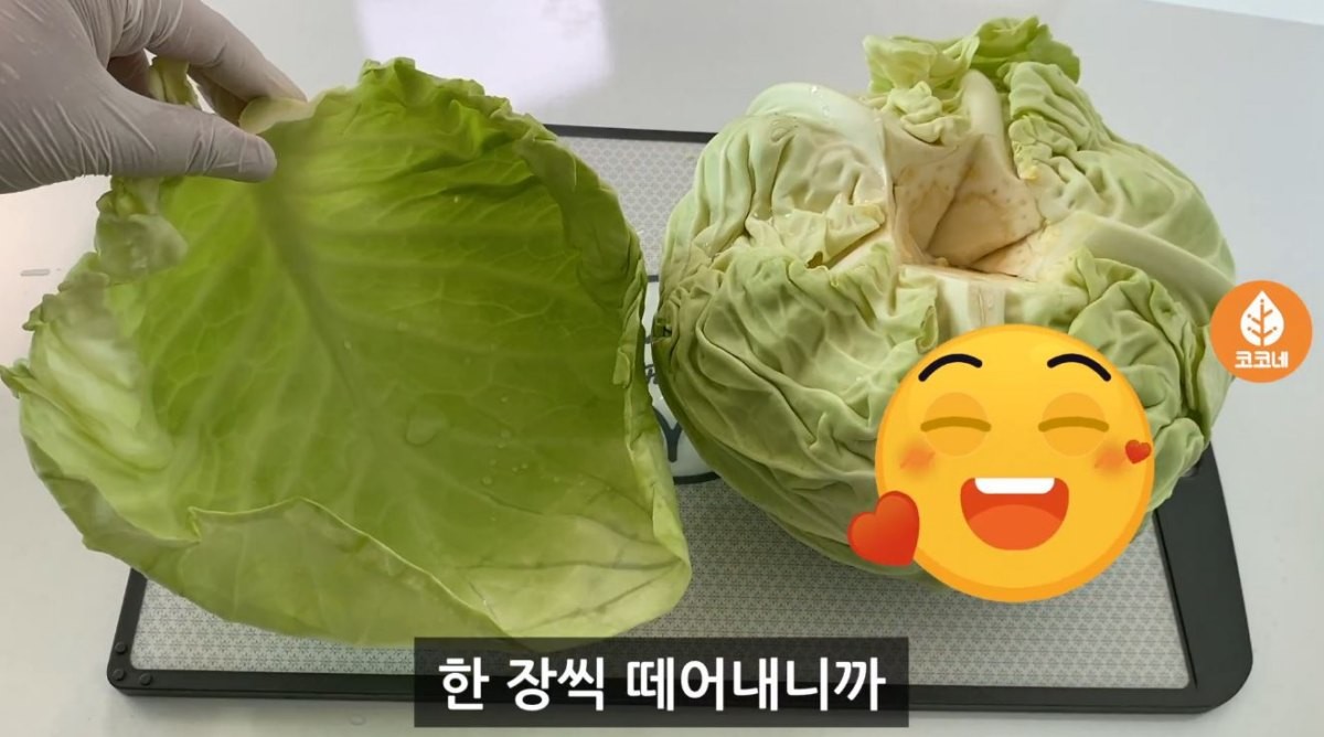 양배추잎이 한결 수월하게 떼지는 모습. / 유튜브 '코코네'