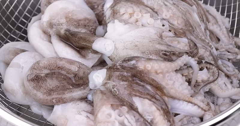 유튜브 '우리집오늘의요리'