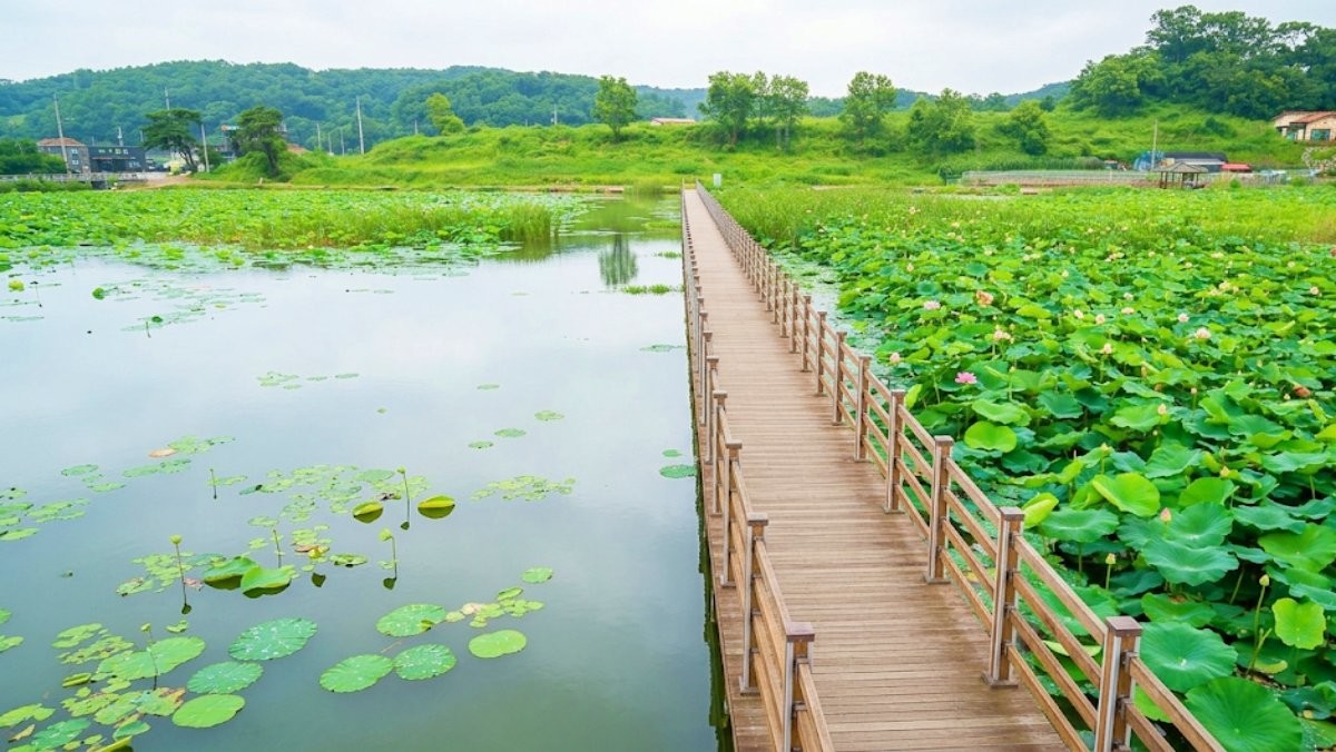 고구저수지. 기사 이해를 돕기 위해 AI로 제작한 자료 이미지로, 실제 모습과 다소 차이가 있을 수 있습니다.