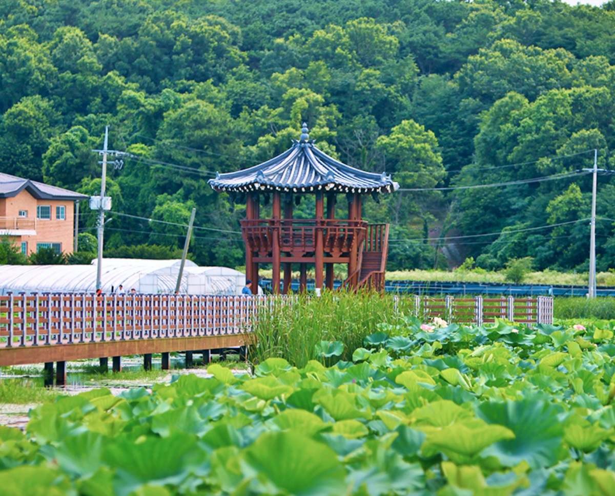 고구저수지 / 강화군여행 페이스북