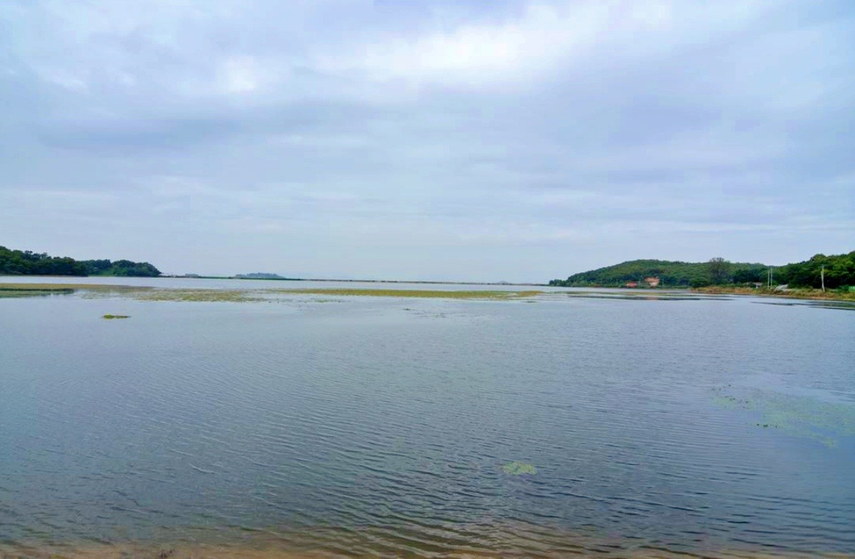 고구저수지 / 인천광역시-공공누리