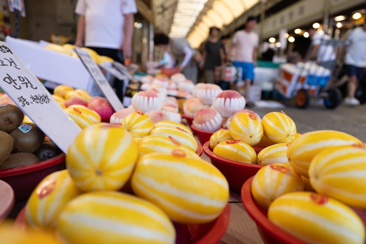 한국인이 사랑하는 과채류 참외 자료 사진 / 뉴스1