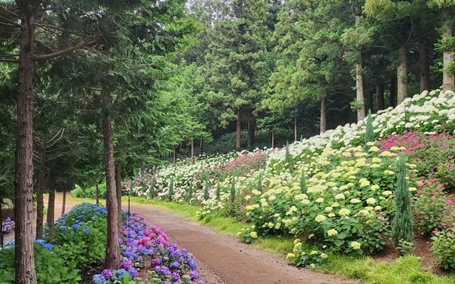 전남도 예쁜정원-보성 성림정원
