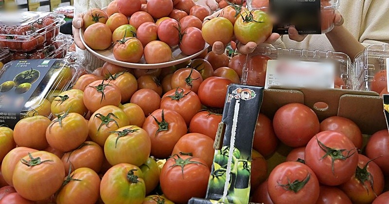 기사의 이해를 돕기 위한 사진 / 뉴스1