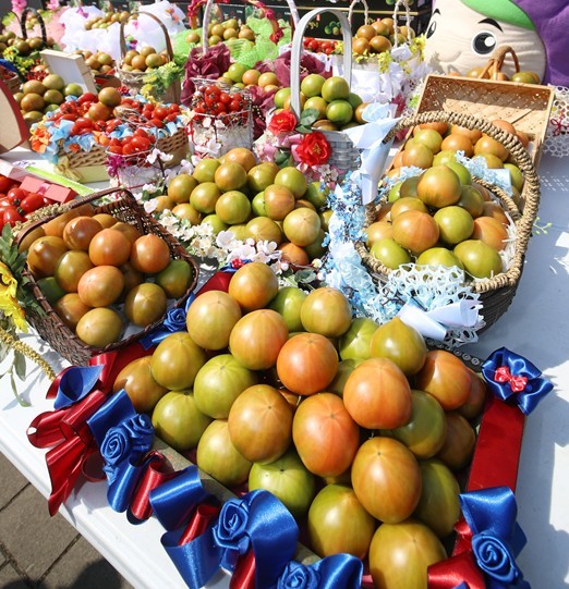기사의 이해를 돕기 위한 사진 / 뉴스1