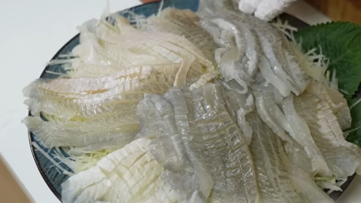 4월 횟감으로 추천된 강도다리. / 유튜브 '입질의추억TV jiminTV'