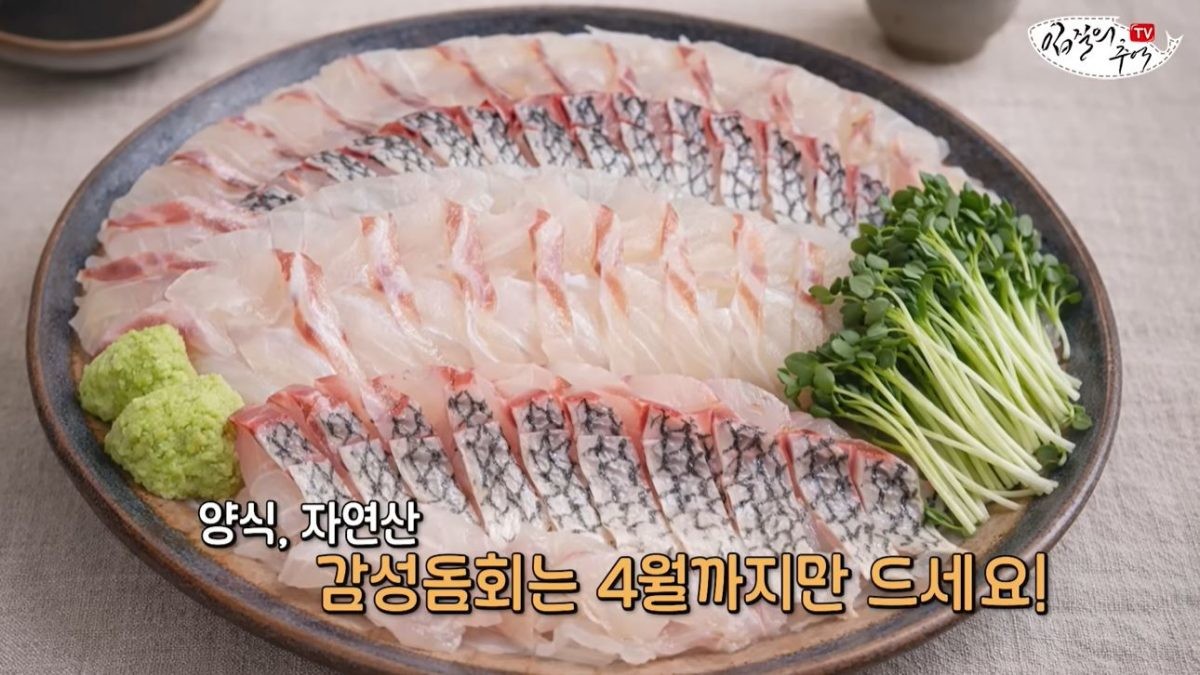소개된 감성돔회. / 유튜브 '입질의추억TV jiminTV'