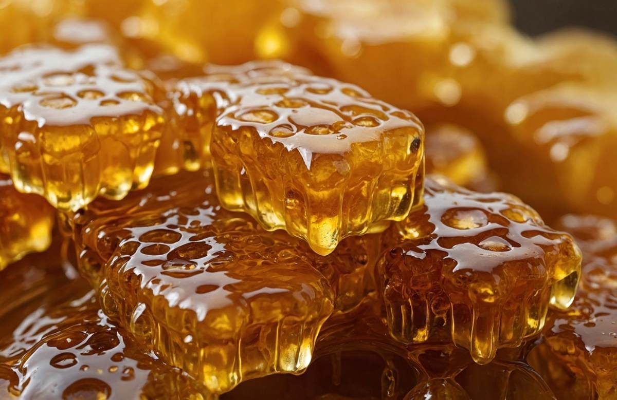 꿀 자료사진 / ZeiMomArt-shutterstock.com