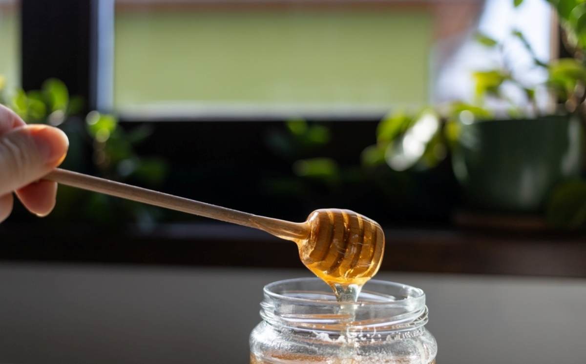 꿀 뜨는 모습 / ZeiMomArt-shutterstock.com