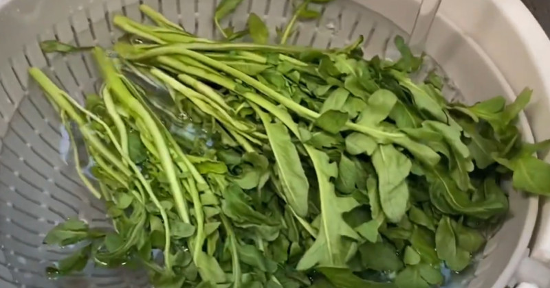 유튜브 'Ramen Mania 라면매니아'