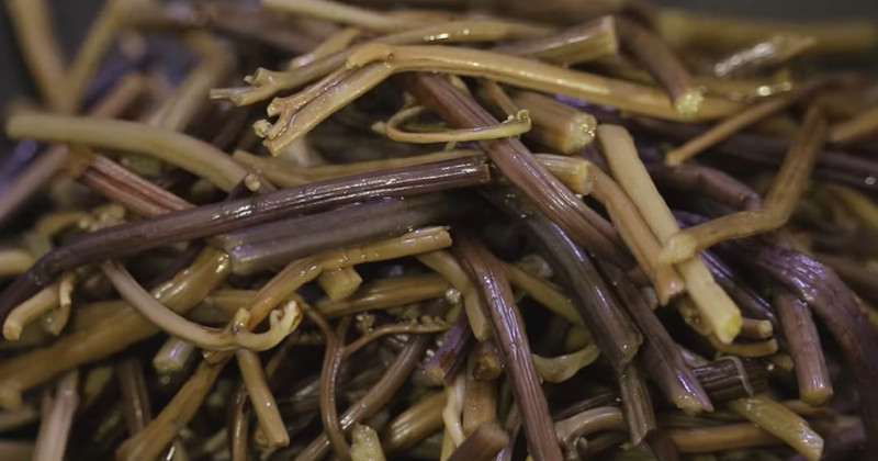 유튜브 '최주부 Choi JuBu'